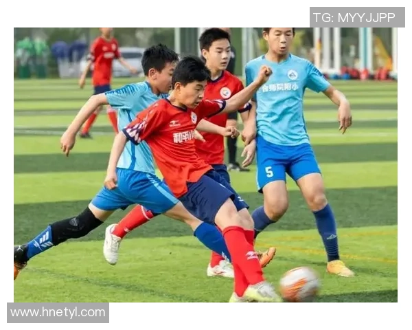 在绿茵场上挥洒汗水与激情体验足球的乐趣与团队精神